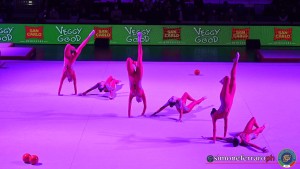 gp ginnastica foto simone ferraro sfa 0648 copia